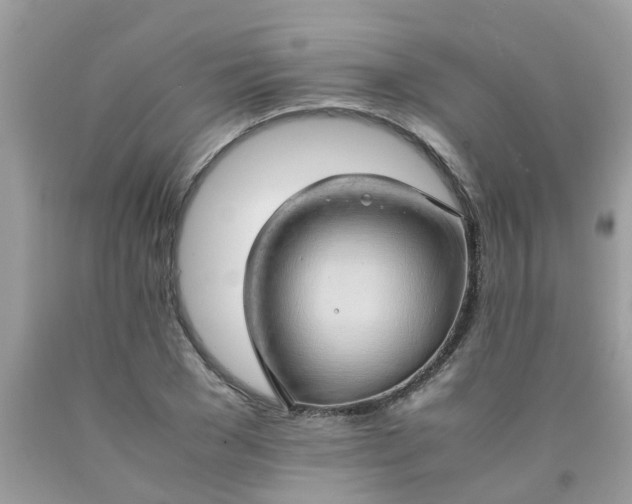 X0000090430977200707272128