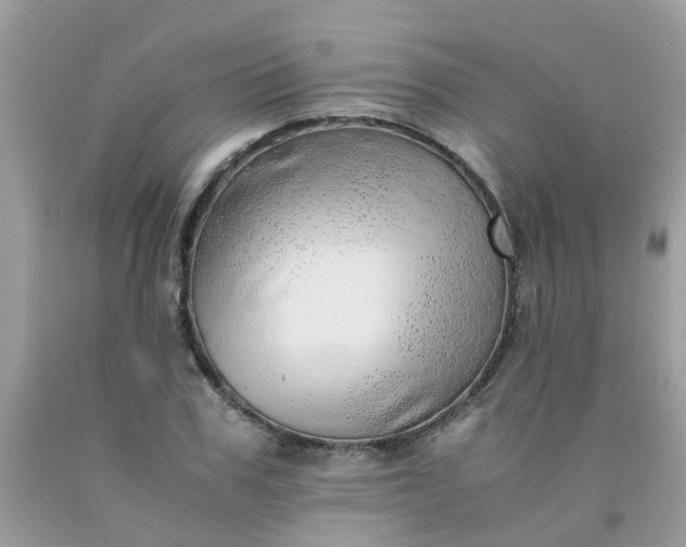 X0000090430979200707272128