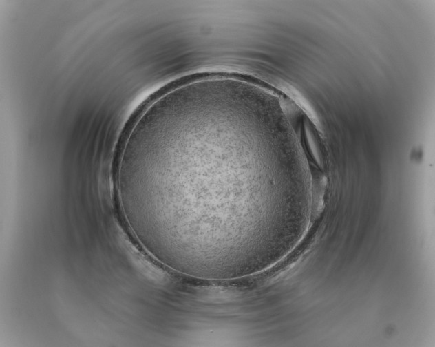 X0000090430980200707272128