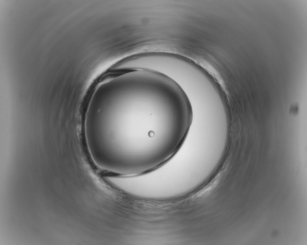 X0000090430981200707272128