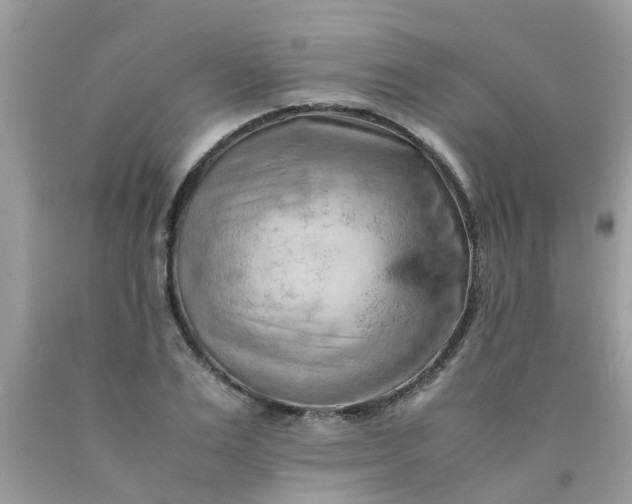 X0000090430983200707272128