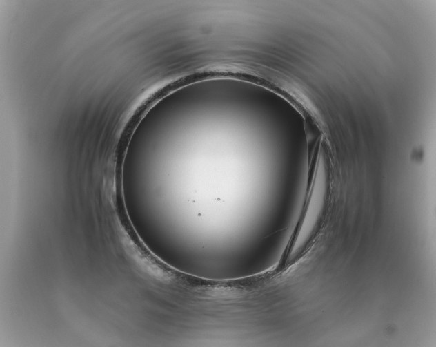 X0000090430984200707272128