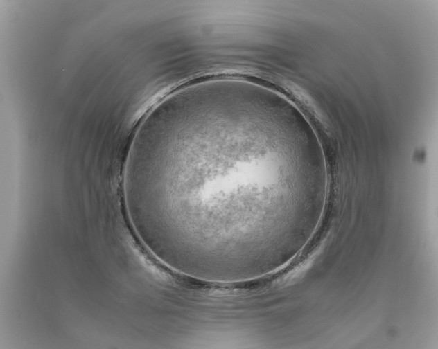 X0000090430985200707272128