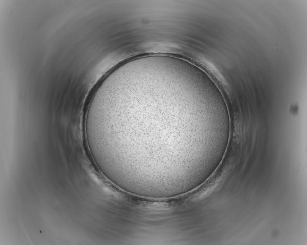 X0000090430986200707272128