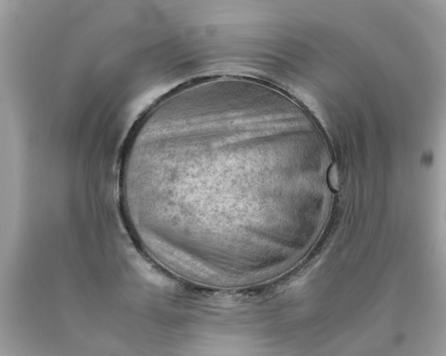 X0000090430987200707272128