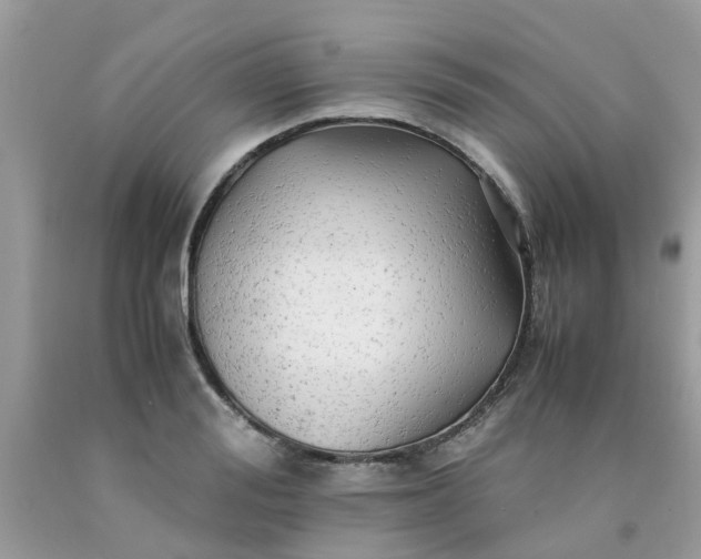 X0000090430988200707272128