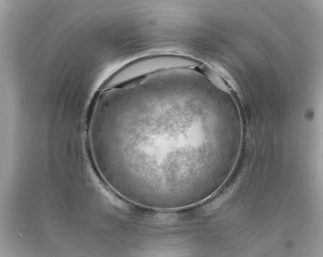 X0000090430989200707272128