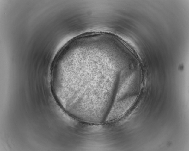 X0000090430990200707272128