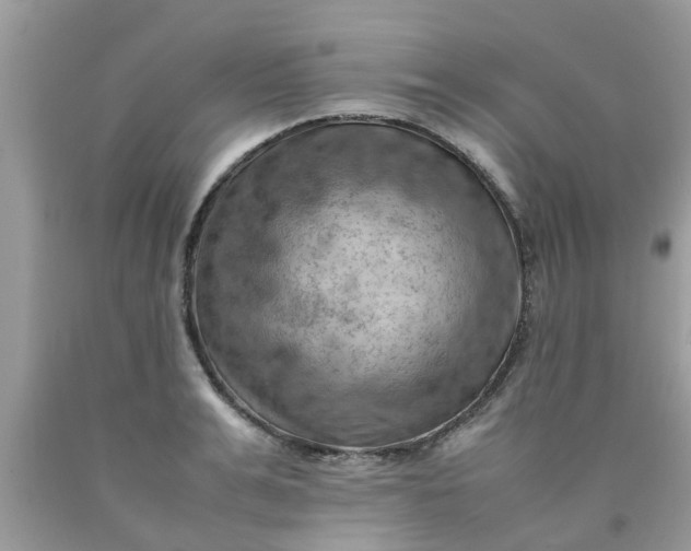 X0000090430991200707272128