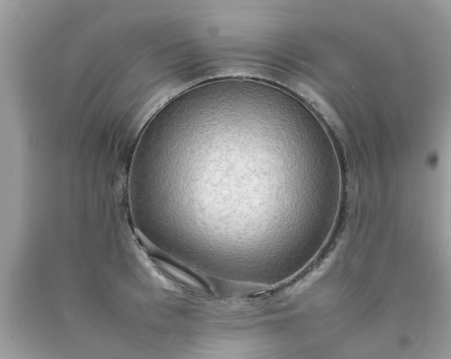 X0000090430993200707272128