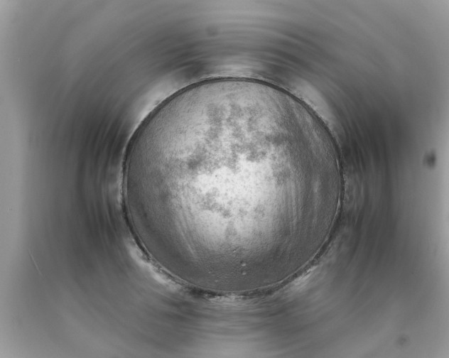 X0000090430994200707272128