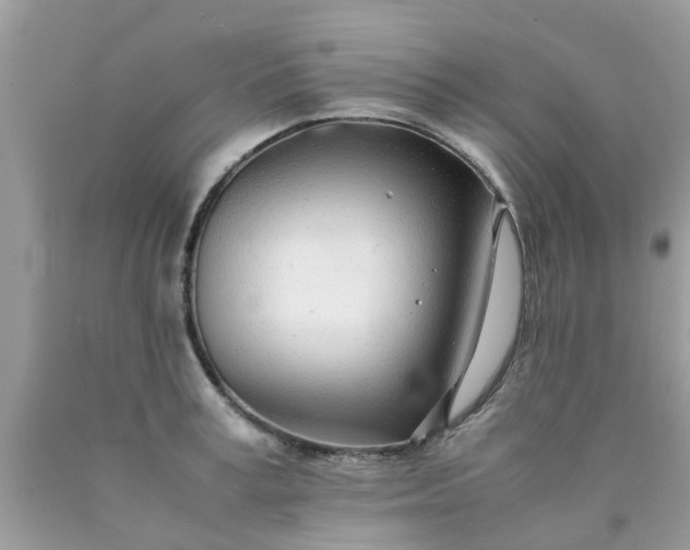 X0000090430995200707272128