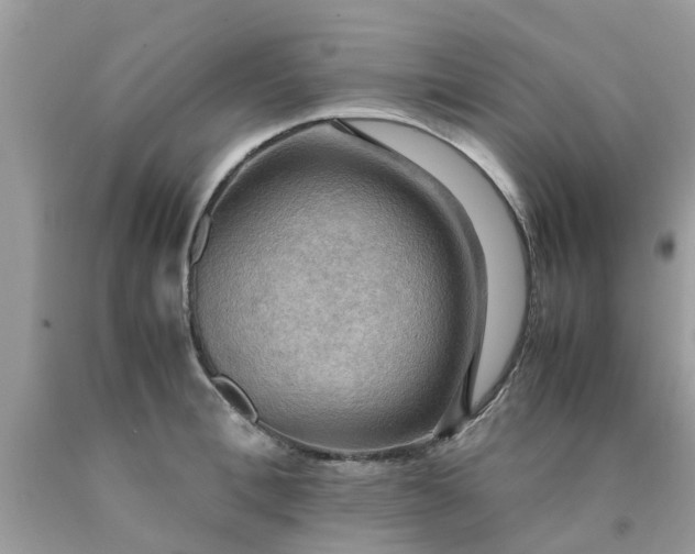 X0000090430996200707272128