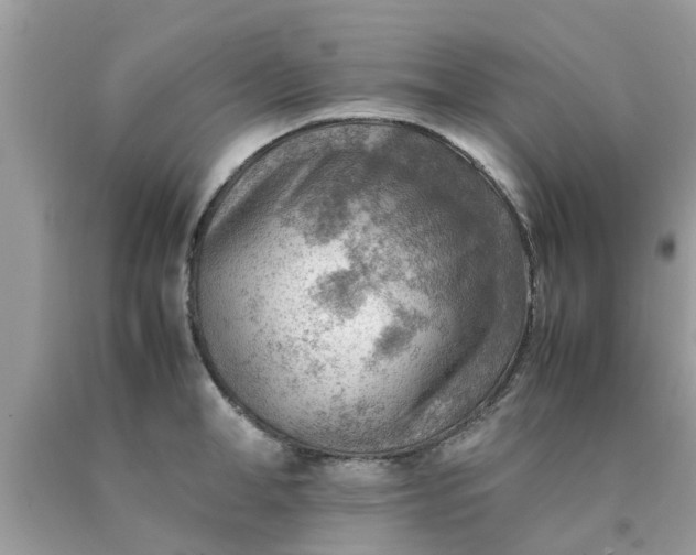 X0000090430998200707272128