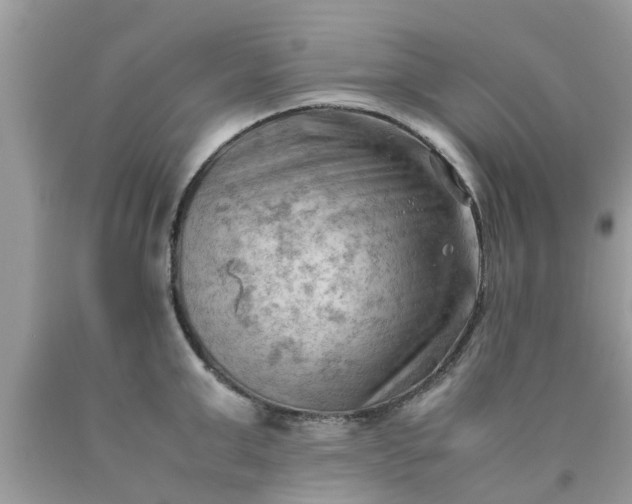 X0000090430999200707272128