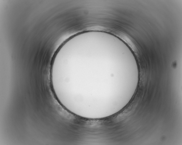 X0000090431000200707272128