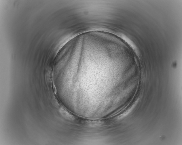 X0000090431001200707272128