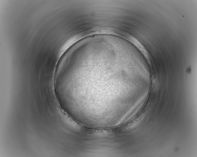 X0000090431002200707272128