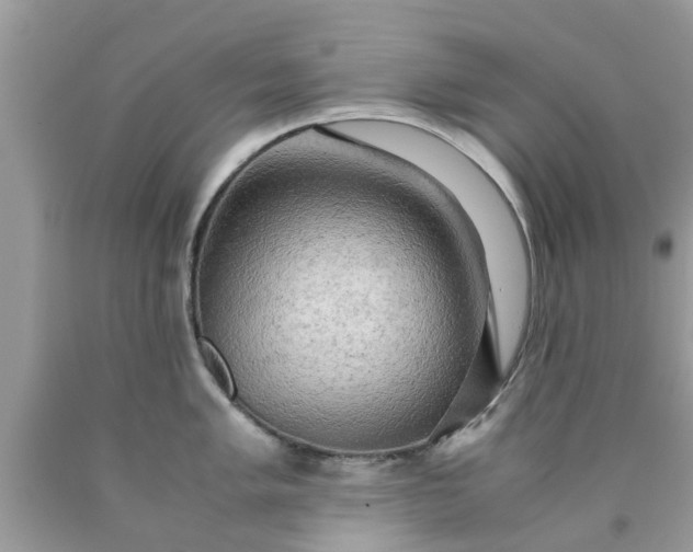 X0000090431005200707272127