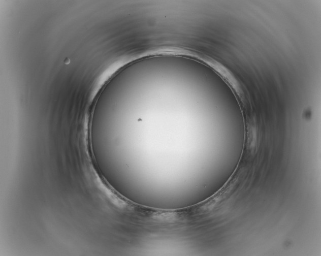 X0000090431006200707272127