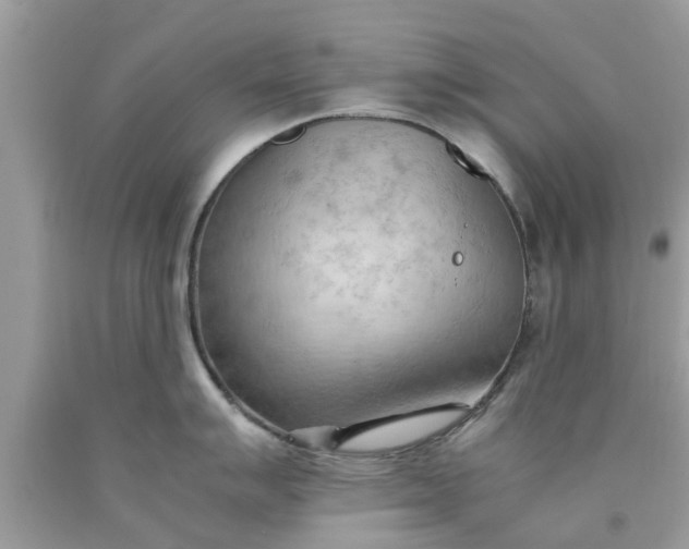 X0000090431007200707272127