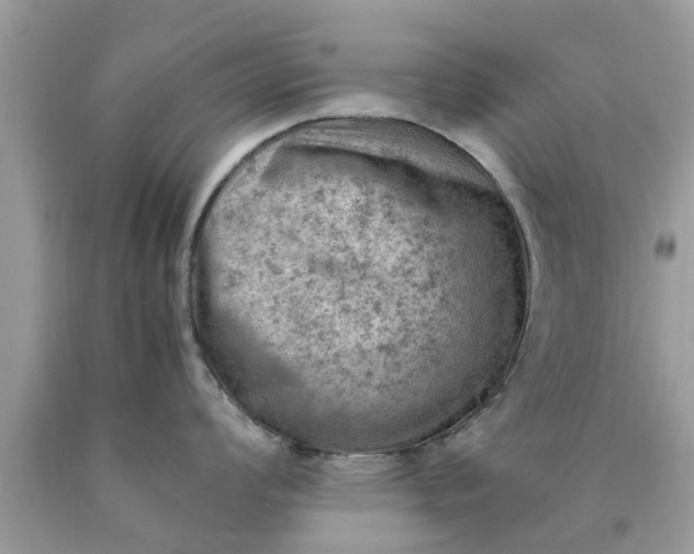 X0000090431008200707272127