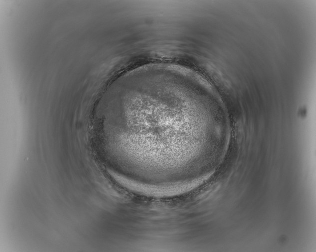 X0000090431009200707272127