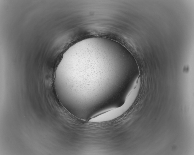 X0000090431012200707272127