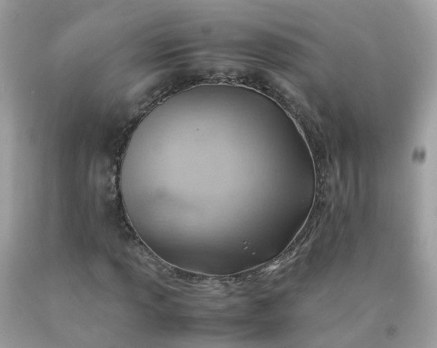 X0000090431013200707272127