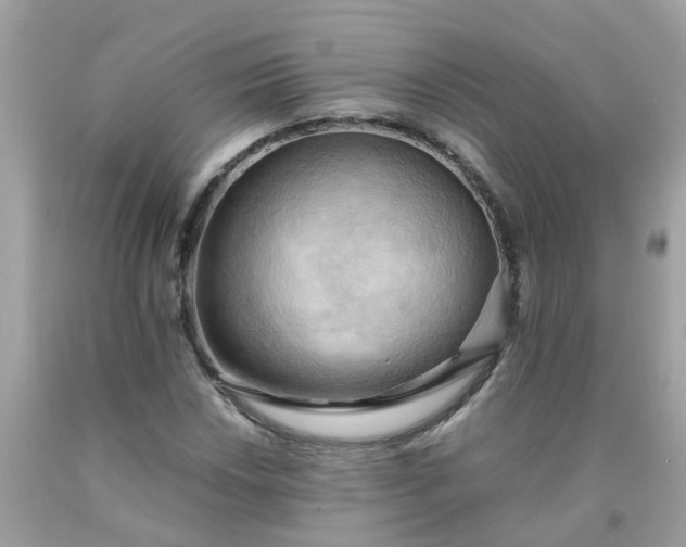 X0000090431018200707272127