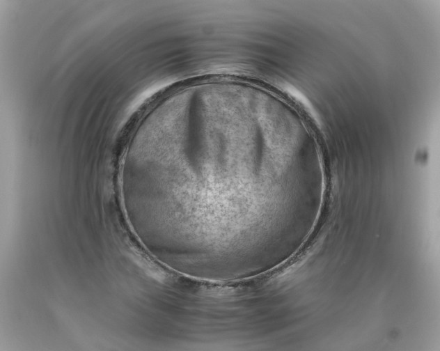 X0000090431019200707272127