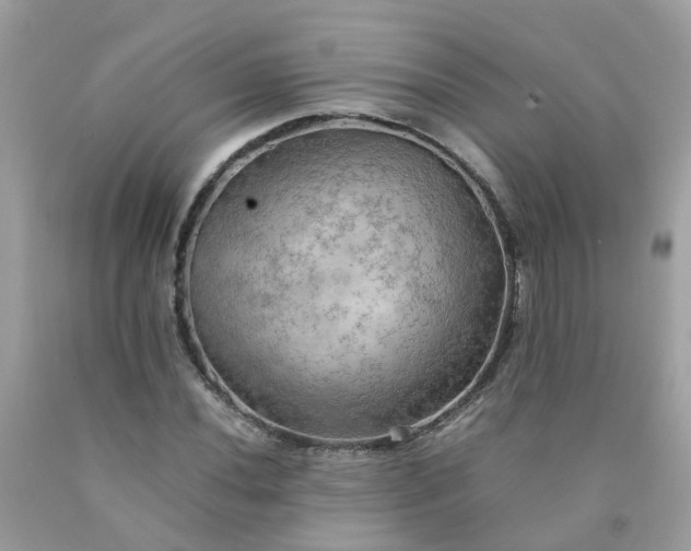 X0000090431020200707272127