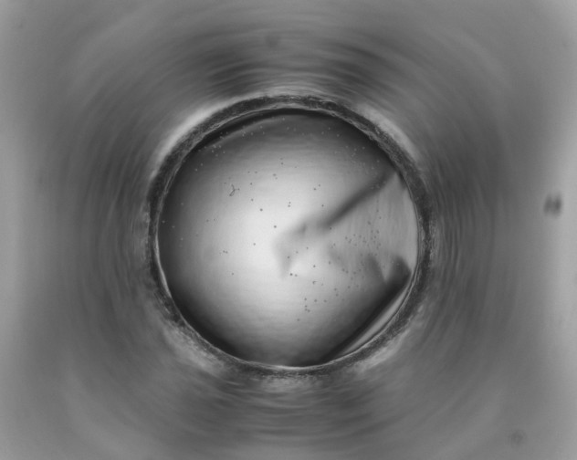 X0000090431021200707272127