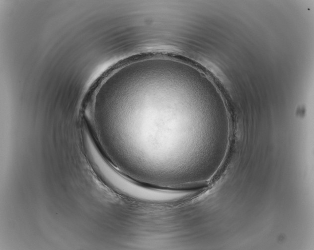 X0000090431022200707272127