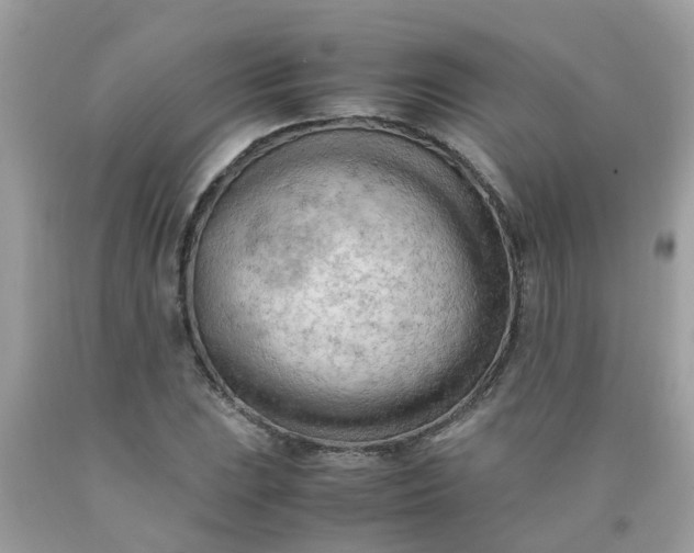 X0000090431023200707272127