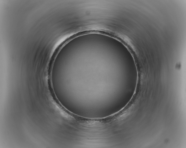 X0000090431024200707272127