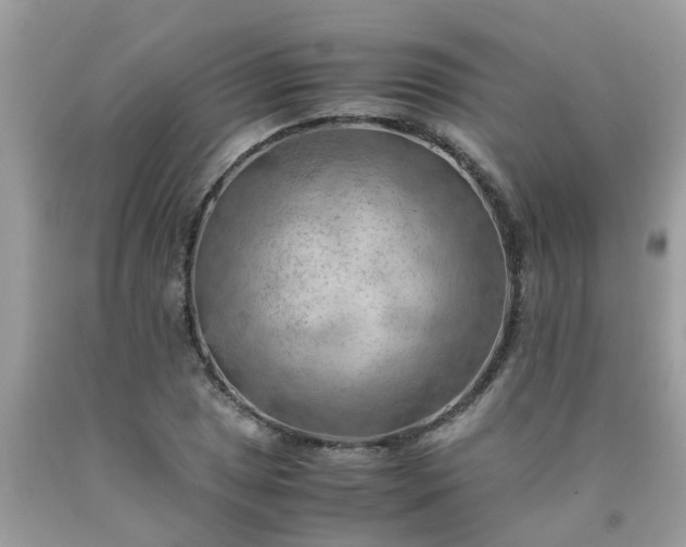 X0000090431025200707272127