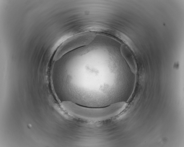 X0000090431026200707272127