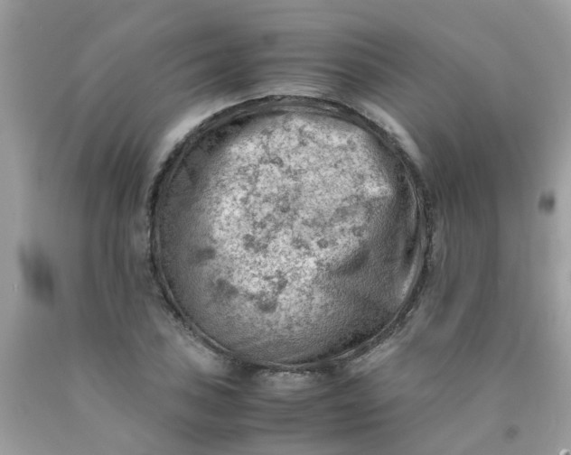 X0000090431027200707272127