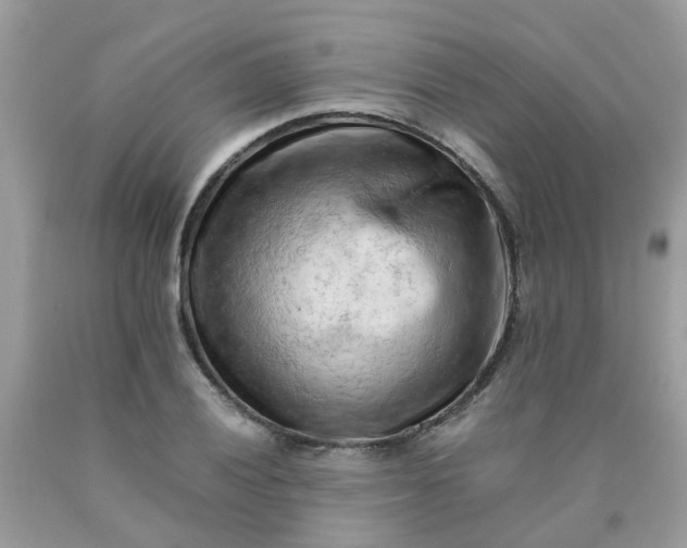 X0000090431028200707272127