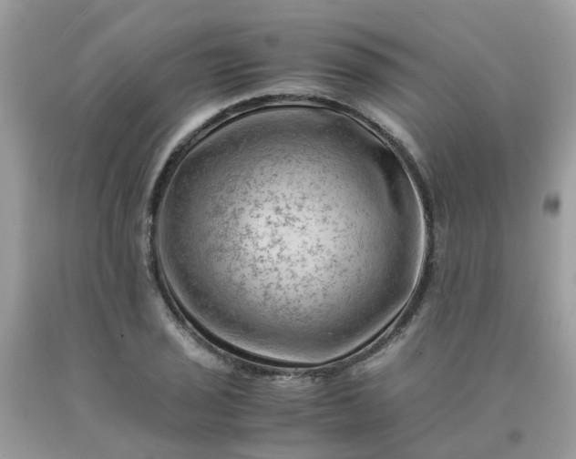 X0000090431029200707272127