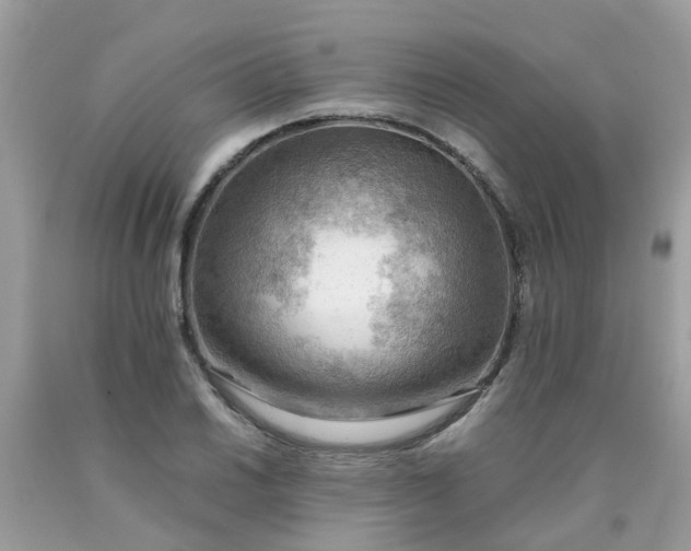 X0000090431030200707272127