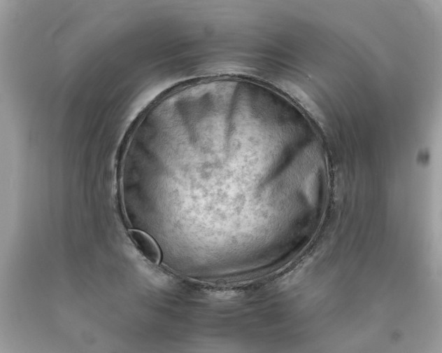 X0000090431031200707272127