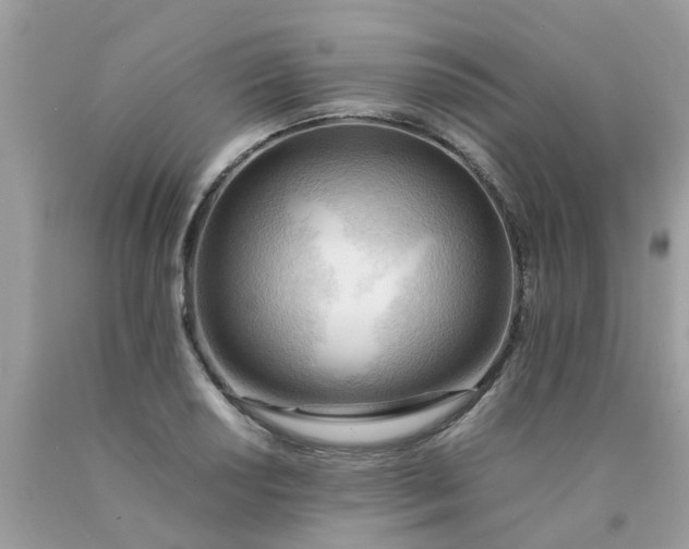 X0000090431034200707272127