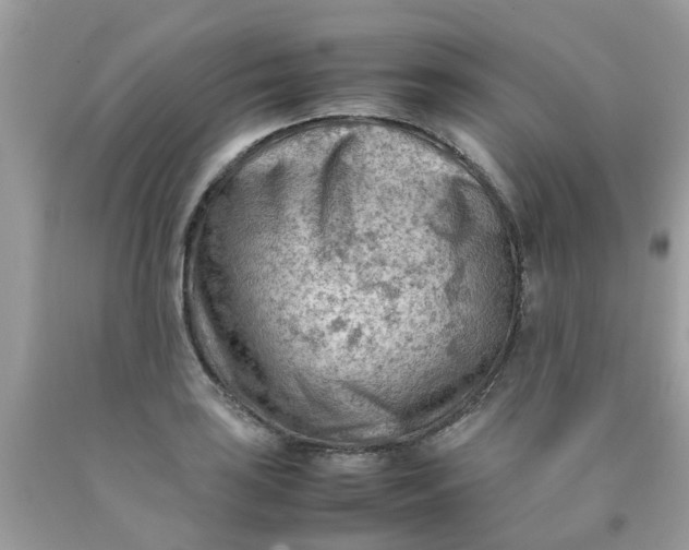 X0000090431035200707272127