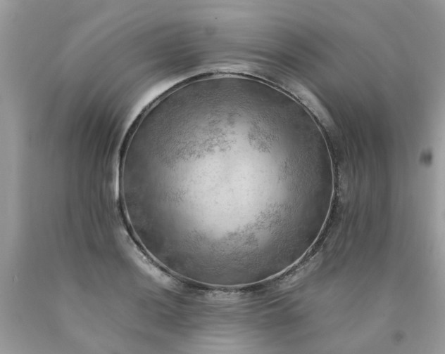 X0000090431036200707272127