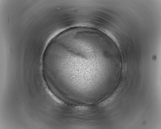 X0000090431037200707272127