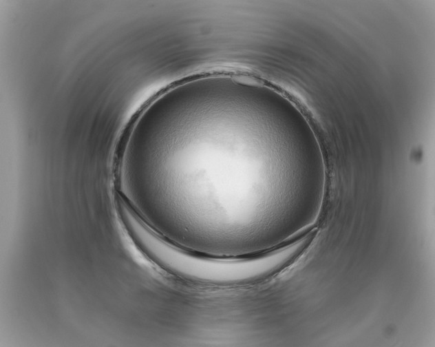 X0000090431038200707272127