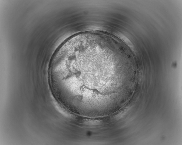 X0000090431039200707272127