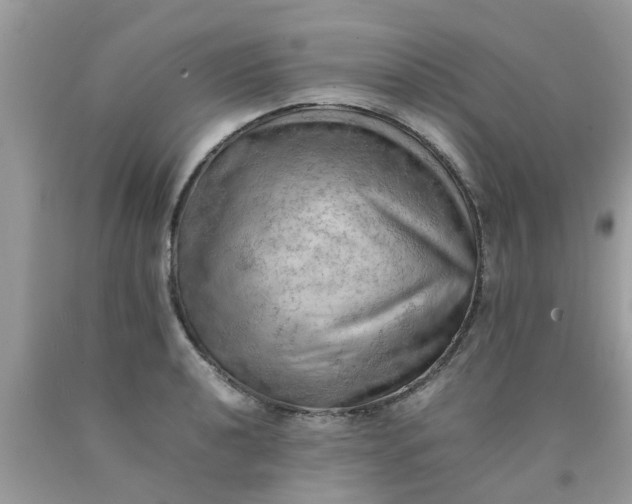 X0000090431040200707272127